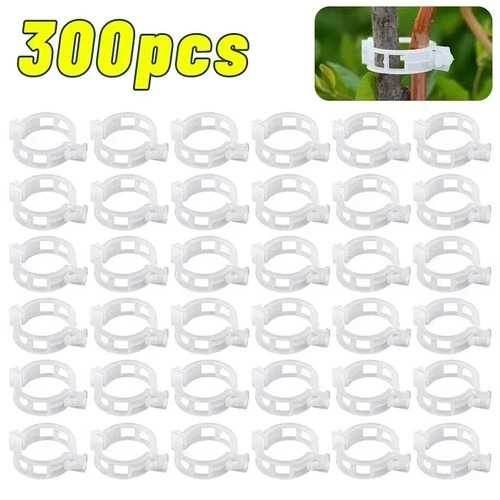 100x clip tomato - tomato, and