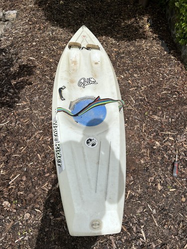 Palm waverider surf - palm, sit