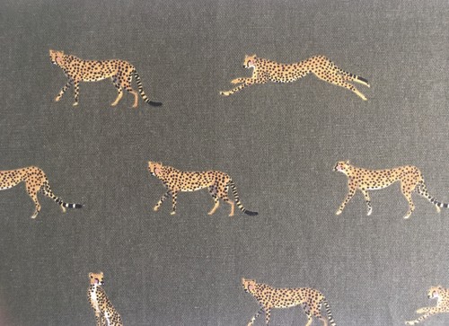 Sophie allport cheetah wild - sophie,