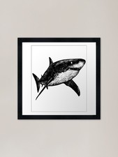 Great White Shark Framed Art