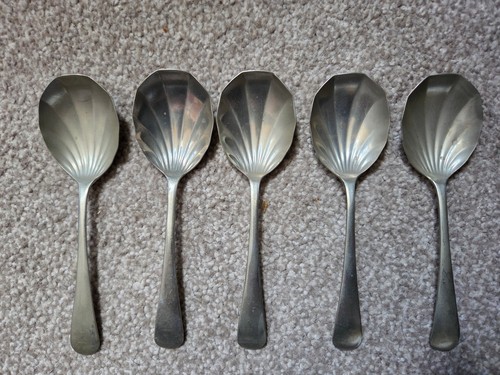 Everwhite shell spoons - x,