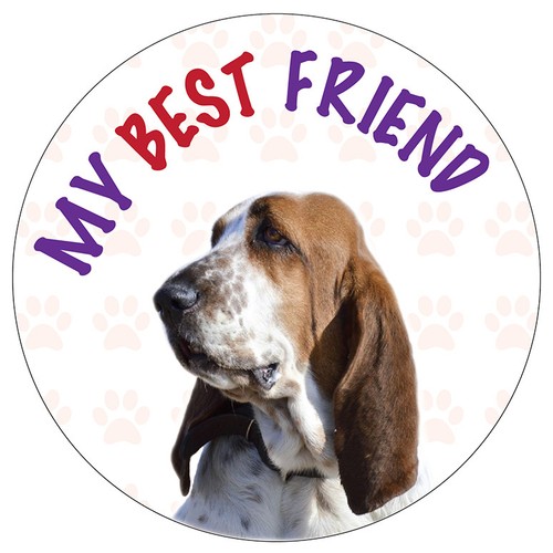 Basset hound dog vinyl - basset,