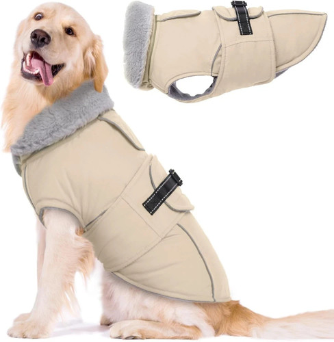 Medium large dog waterproof - dog,