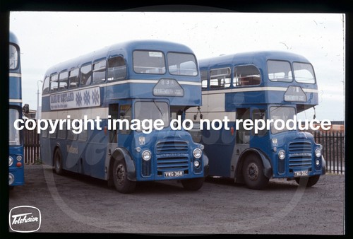 Original bus slide alexander - original,