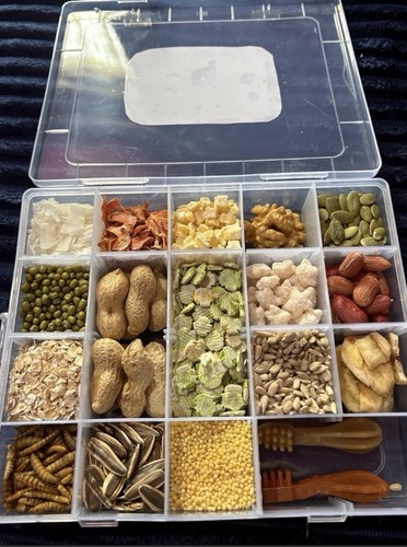 Large hamster snack box - hamster,