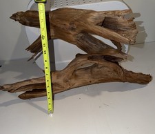 Large 25” Mopani Driftwood