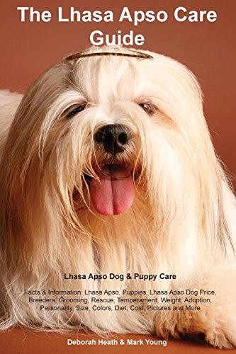 Lhasa apso care - lhasa, guide.