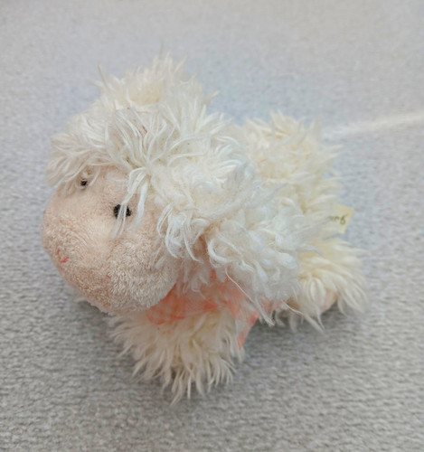 White fluffy sheep lamb - fluffy,