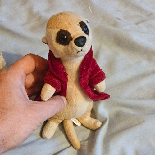 Meerkat soft toy plush with - soft,