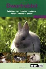 The Dwarf Rabbit: A Guide to
