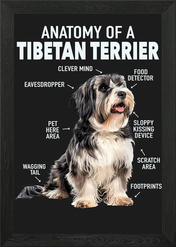 Tibetan terrier framed wall - framed,