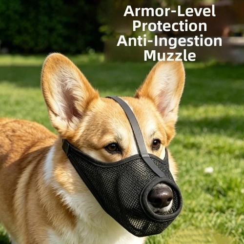 Breathable mesh dog - breathable,