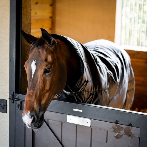 Horseware amigo ripstop - amigo,