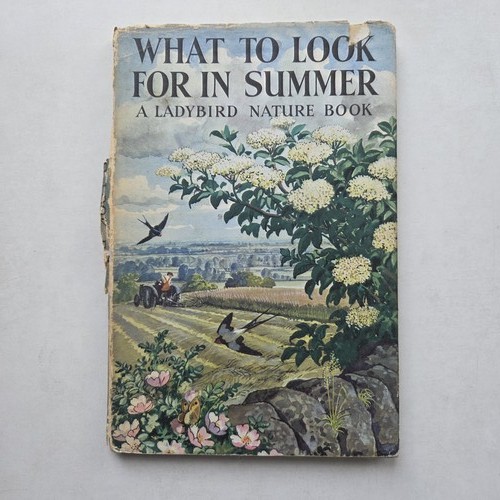 1960 ladybird what - 1960,
