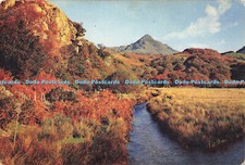 D170489 Cnicht. N. Wales. J