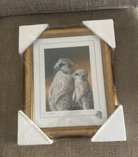 stephen gayford limited