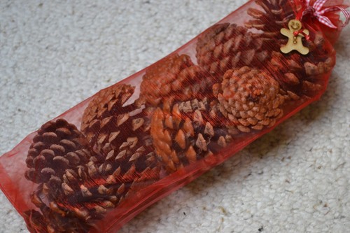 Pine cone fire lighters