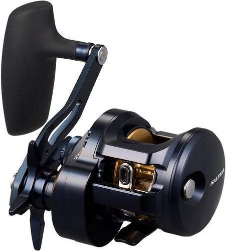 Daiwa baitcasting reel - reel, 25