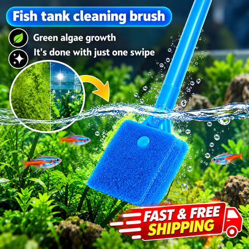Fish tank cleaning - fish, brush