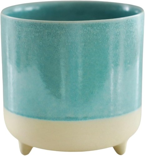 Indoor ceramic plant - plant, with