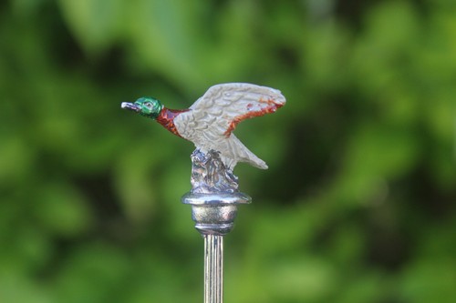 Vintage flying bird mallard - vintage,