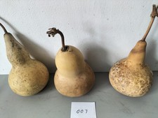 SET OF 3 DRIED AND WASHED