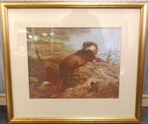 Framed print otter - of, by