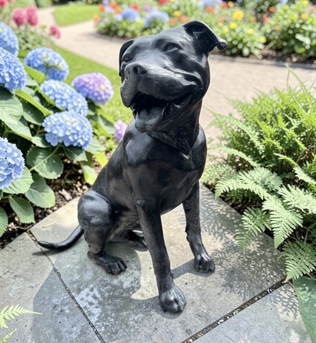 Staffordshire bull terrier - staffordshire,