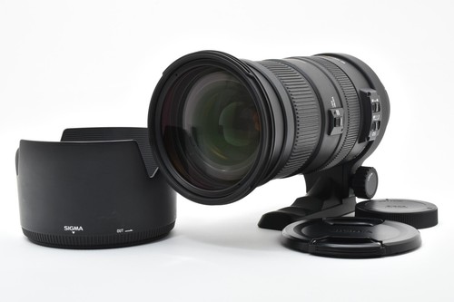 Sigma apo 500mm 5 - 50-500mm, f/4.5-6.3