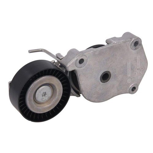 Multi belt tensioner - belt,