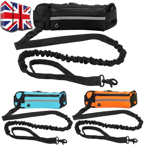 Dog lead leash - dog, belt