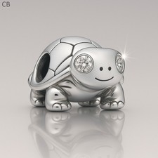 Bright Eyed Turtle Tortoise