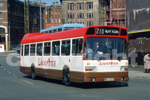 Bus photo liverbus - bus,