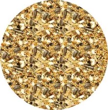 COCKATIEL PARAKEET LOVEBIRD