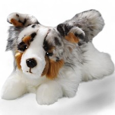 Carl Dick Australian Shepherd