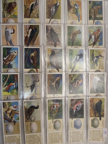 Vintage typhoo tea cards - typhoo,