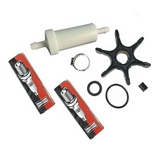 BRP Genuine Evinrude E-TEC 25