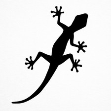 Lizard Wall Stickers Vinyl