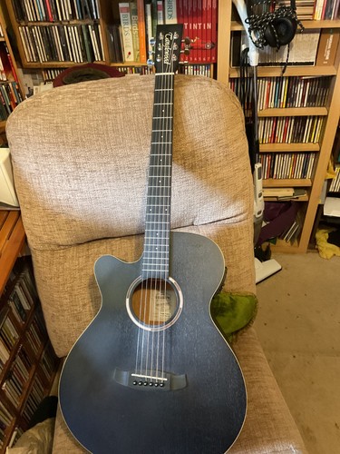 Tanglewood blackbird left - blackbird,