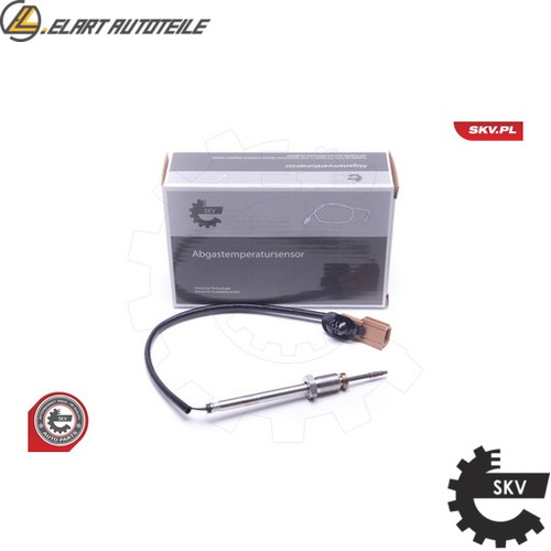 Exhaust gas temperature - gas, sensor