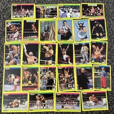 World Wrestling Federation