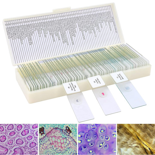 Lakwar microscope slides - 60,