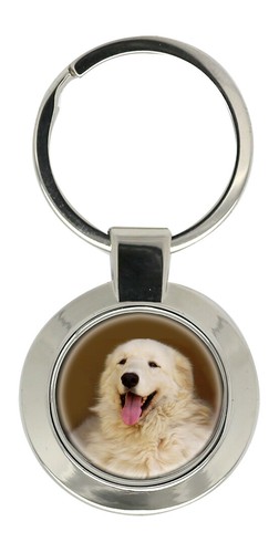 Kuvasz dog key - kuvasz,