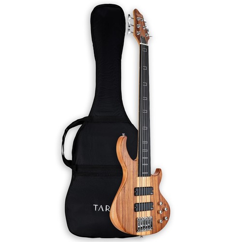 Fretless string electric - 6,