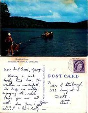Vintage Postcard - GREETINGS
