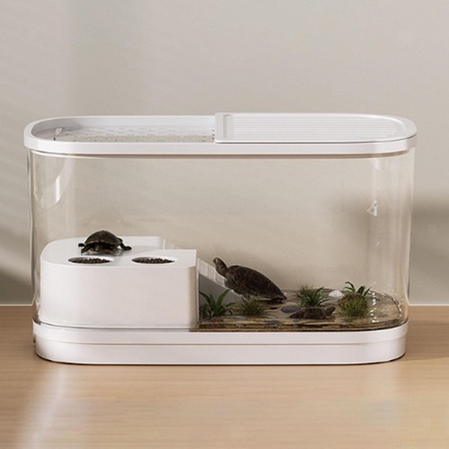 Turtle tank aquarium - turtle,
