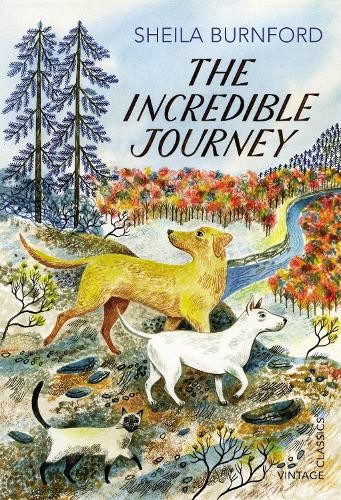 The incredible journey - incredible,