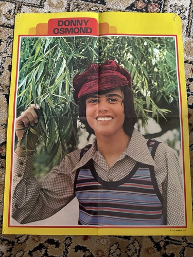 Donny osmond poster ipc - donny,