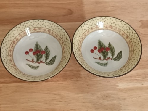 Johnson brothers fruit sampler - johnson,