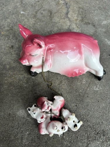 Darling mother pig with six - pig,